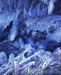 _DSC0003.JPG