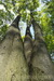 _DSC0004.JPG