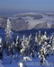 _DSC0005.JPG