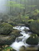 _DSC0010.JPG