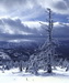 _DSC0015.JPG