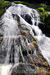 _DSC0017.JPG