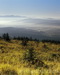 _DSC0021.JPG