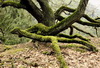 DSC1230.jpg