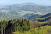 DSC1330.jpg