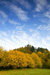 DSC0027.jpg