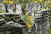 DSC0029.jpg