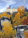 DSC0036.jpg
