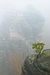 DSC0041.jpg