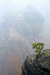 DSC0042.jpg