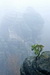DSC0043.jpg