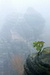 DSC0044.jpg