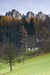 DSC0049.jpg