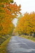 DSC0051.jpg