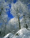 IMG05.JPG