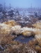 IMG15.JPG