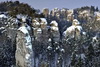 DSC0023.jpg
