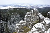 DSC0992.jpg