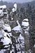 DSC4700.jpg
